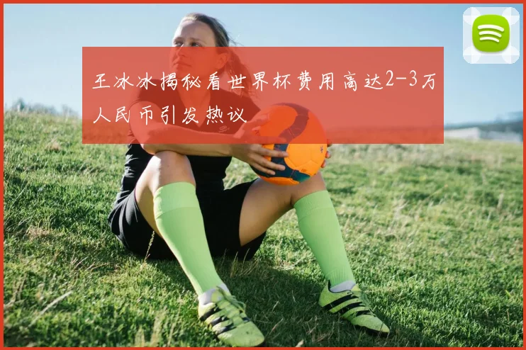王冰冰揭秘看世界杯费用高达2-3万人民币引发热议