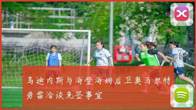 乌迪内斯与海登海姆后卫奥马尔特劳雷洽谈免签事宜